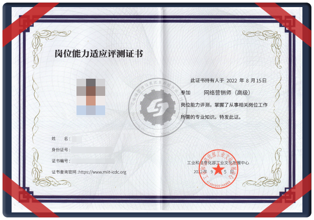 《网络营销工程师》中级